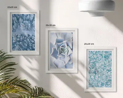 Conjunto de molduras com imagens paisagem de floresta de inverno com flores azuis e superfície da água
