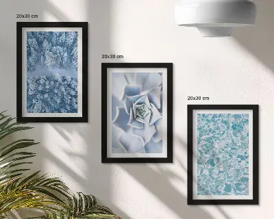 Conjunto de molduras com imagens paisagem de floresta de inverno com flores azuis e superfície da água