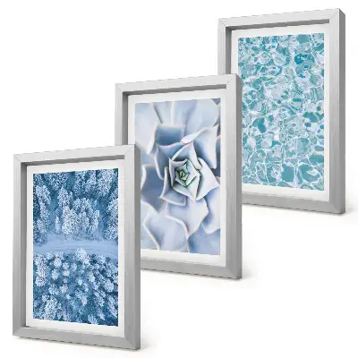 Conjunto de molduras com imagens paisagem de floresta de inverno com flores azuis e superfície da água