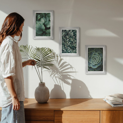 Conjunto de molduras com imagens Plantas folhosas verdes e suculentas estilosas