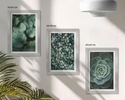 Conjunto de molduras com imagens de plantas folhosas verdes e suculentas estilosas