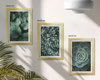 Conjunto de molduras com imagens de plantas folhosas verdes e suculentas estilosas
