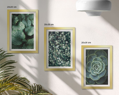 Conjunto de molduras com imagens Plantas folhosas verdes e suculentas estilosas