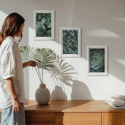 Conjunto de molduras com imagens Plantas folhosas verdes e suculentas estilosas