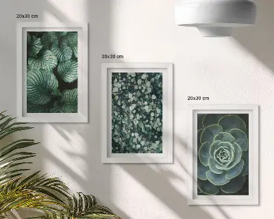 Conjunto de molduras com imagens de plantas folhosas verdes e suculentas estilosas