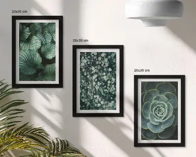 Conjunto de molduras com imagens de plantas folhosas verdes e suculentas estilosas