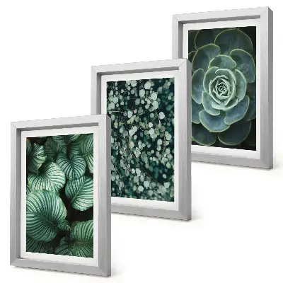 Conjunto de molduras com imagens de plantas folhosas verdes e suculentas estilosas