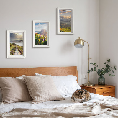 Conjunto de molduras com imagens Paisagens de montanha com flores, céu e trilha.