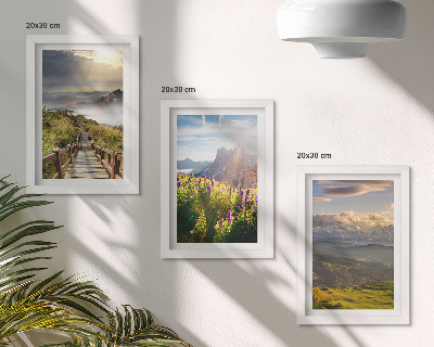 Conjunto de molduras com imagens Paisagens de montanha com flores, céu e trilha.