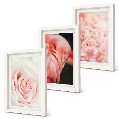 Conjunto de molduras com imagens Tons de rosa pastel e flamingo em nuances delicadas.