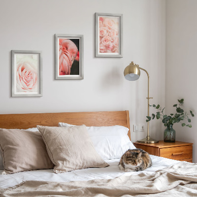 Conjunto de molduras com imagens Tons de rosa pastel e flamingo em nuances delicadas.