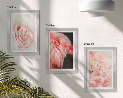 Conjunto de molduras com imagens Tons de rosa pastel e flamingo em nuances delicadas.