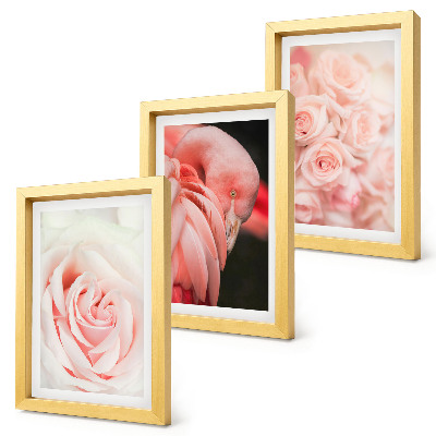 Conjunto de molduras com imagens Tons de rosa pastel e flamingo em nuances delicadas.