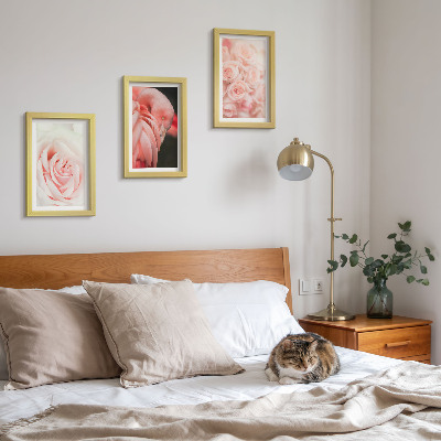 Conjunto de molduras com imagens Tons de rosa pastel e flamingo em nuances delicadas.