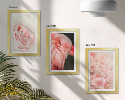 Conjunto de molduras com imagens Tons de rosa pastel e flamingo em nuances delicadas.