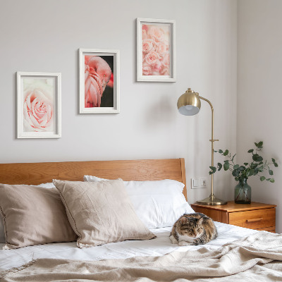 Conjunto de molduras com imagens Tons de rosa pastel e flamingo em nuances delicadas.