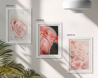 Conjunto de molduras com imagens Tons de rosa pastel e flamingo em nuances delicadas.