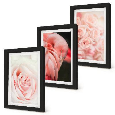 Conjunto de molduras com imagens Tons de rosa pastel e flamingo em nuances delicadas.