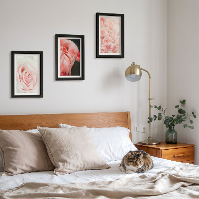 Conjunto de molduras com imagens Tons de rosa pastel e flamingo em nuances delicadas.