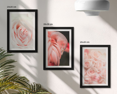 Conjunto de molduras com imagens Tons de rosa pastel e flamingo em nuances delicadas.