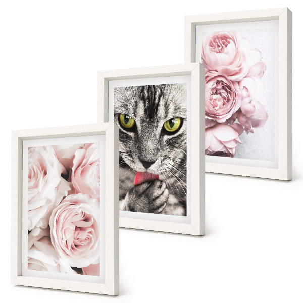 Conjunto de 3 quadros decorativos Um gato entre flores cor-de-rosa de rosas e peônias.