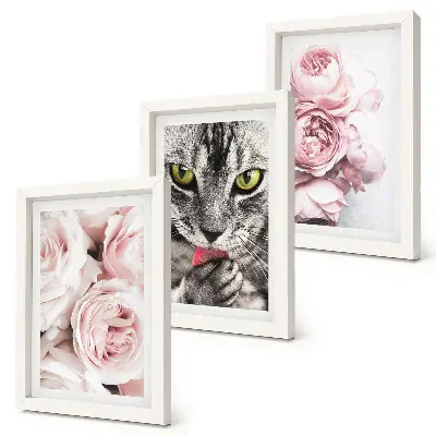 Conjunto de 3 quadros decorativos estampa de gato entre flores cor-de-rosa de rosas e peônias