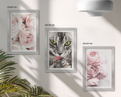 Conjunto de 3 quadros decorativos Um gato entre flores cor-de-rosa de rosas e peônias.