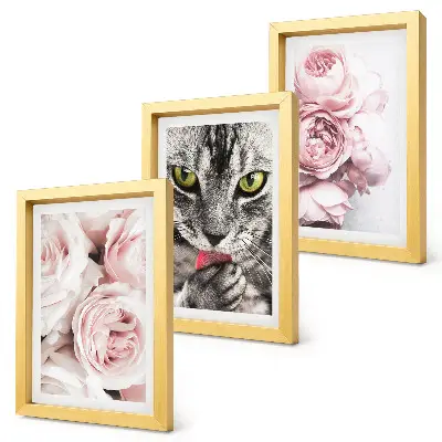 Conjunto de 3 quadros decorativos estampa de gato entre flores cor-de-rosa de rosas e peônias