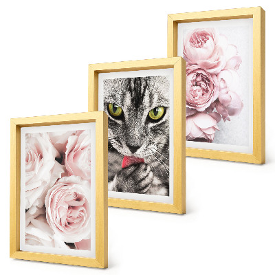 Conjunto de 3 quadros decorativos Um gato entre flores cor-de-rosa de rosas e peônias.