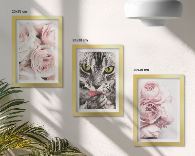 Conjunto de 3 quadros decorativos Um gato entre flores cor-de-rosa de rosas e peônias.