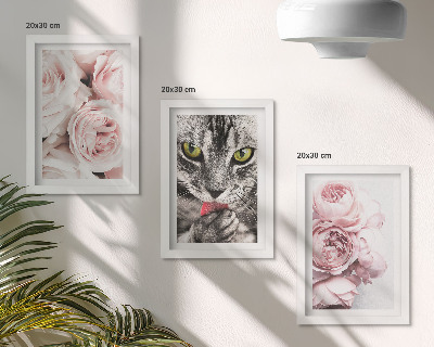 Conjunto de 3 quadros decorativos Um gato entre flores cor-de-rosa de rosas e peônias.