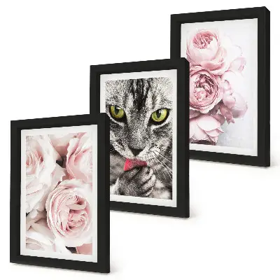 Conjunto de 3 quadros decorativos estampa de gato entre flores cor-de-rosa de rosas e peônias