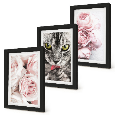 Conjunto de 3 quadros decorativos Um gato entre flores cor-de-rosa de rosas e peônias.