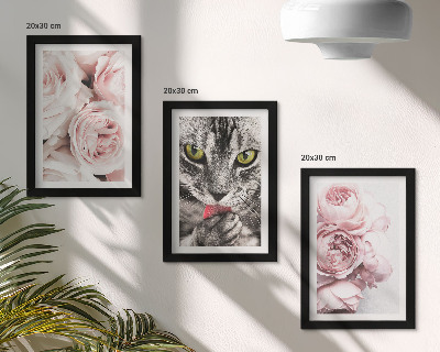 Conjunto de 3 quadros decorativos Um gato entre flores cor-de-rosa de rosas e peônias.