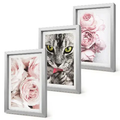 Conjunto de 3 quadros decorativos estampa de gato entre flores cor-de-rosa de rosas e peônias