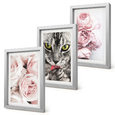Conjunto de 3 quadros decorativos Um gato entre flores cor-de-rosa de rosas e peônias.