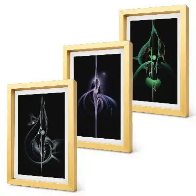 Conjunto de molduras com imagens com padrões abstratos em tons de preto e cor