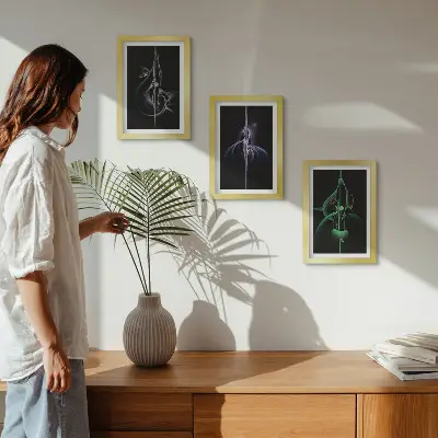Conjunto de molduras com imagens com padrões abstratos em tons de preto e cor