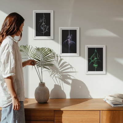 Conjunto de molduras com imagens Padrões abstratos em tons de preto e cor