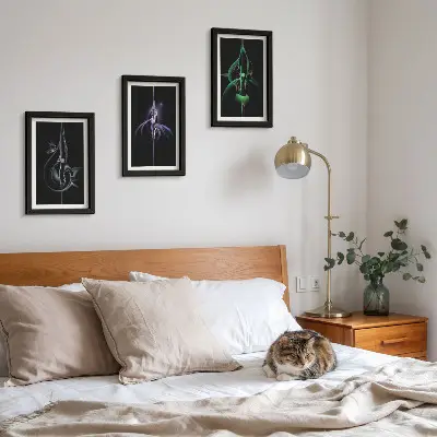 Conjunto de molduras com imagens com padrões abstratos em tons de preto e cor