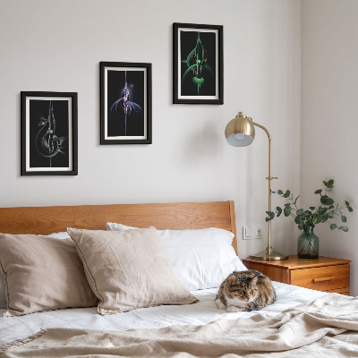 Conjunto de molduras com imagens Padrões abstratos em tons de preto e cor