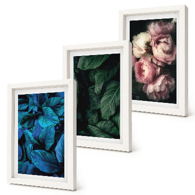 Tríptico com moldura Folhas e flores em cores diferentes