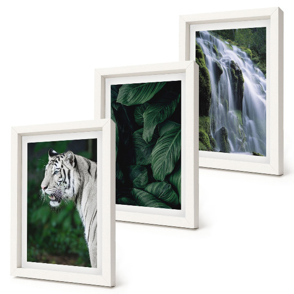 Conjunto de 3 quadros decorativos Folhas de tigre branco e cachoeira em ambiente natural.