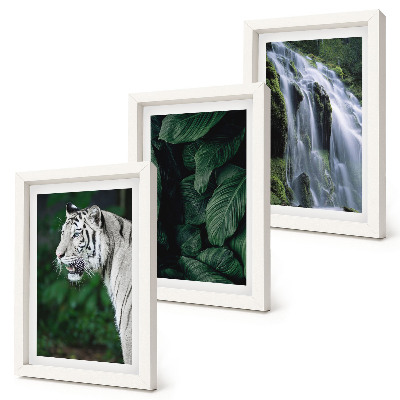 Conjunto de 3 quadros decorativos Folhas de tigre branco e cachoeira em ambiente natural.