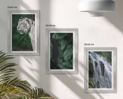 Conjunto de 3 quadros decorativos Folhas de tigre branco e cachoeira em ambiente natural.