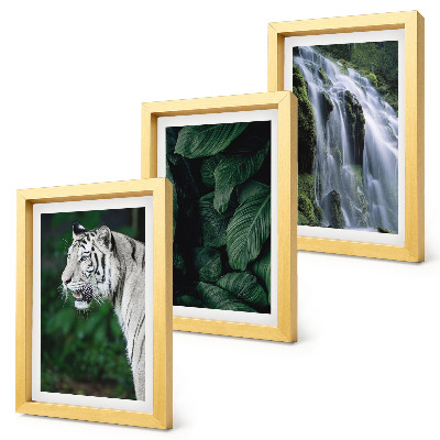 Conjunto de 3 quadros decorativos Folhas de tigre branco e cachoeira em ambiente natural.