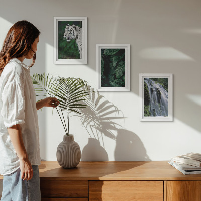 Conjunto de 3 quadros decorativos Folhas de tigre branco e cachoeira em ambiente natural.