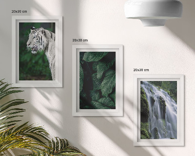Conjunto de 3 quadros decorativos Folhas de tigre branco e cachoeira em ambiente natural.