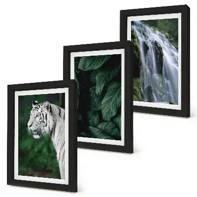 Conjunto de 3 quadros decorativos com estampa de folhas de tigre branco e cachoeira em ambiente natural