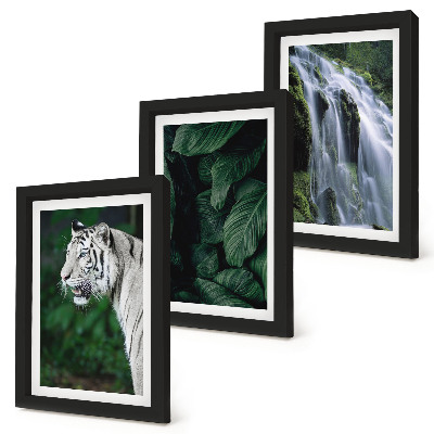 Conjunto de 3 quadros decorativos Folhas de tigre branco e cachoeira em ambiente natural.